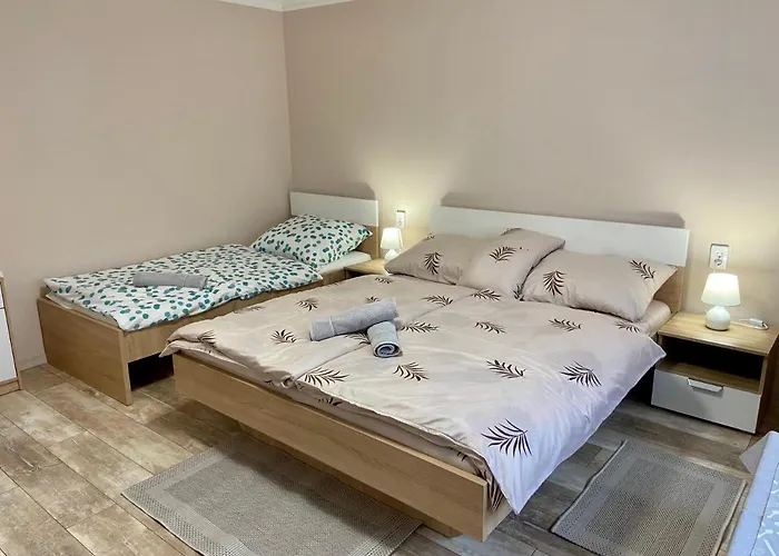 Casa de hóspedes Vincze 3*